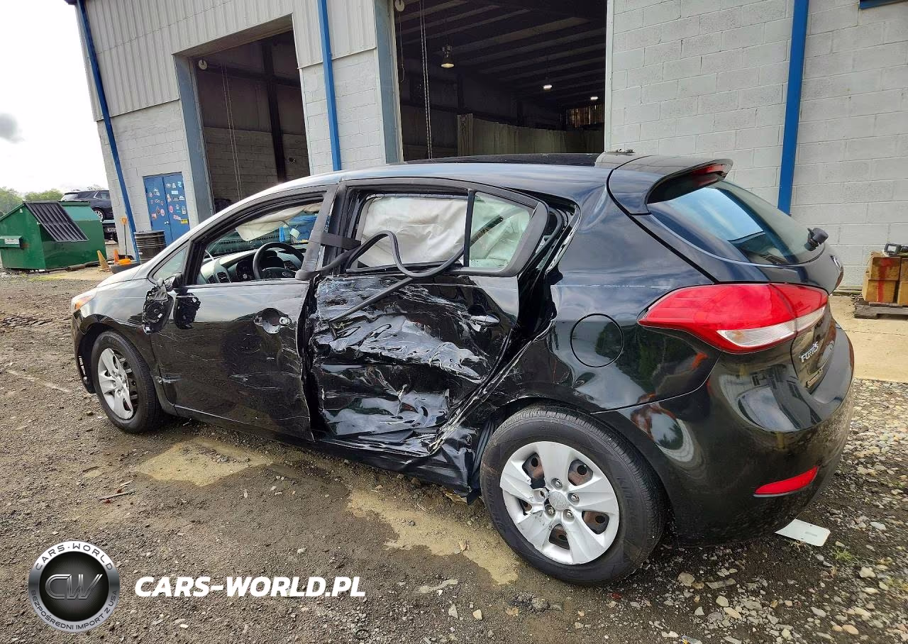 2017 Kia Forte5 Lx VIN:KNAFK5A87H5696874 - 2