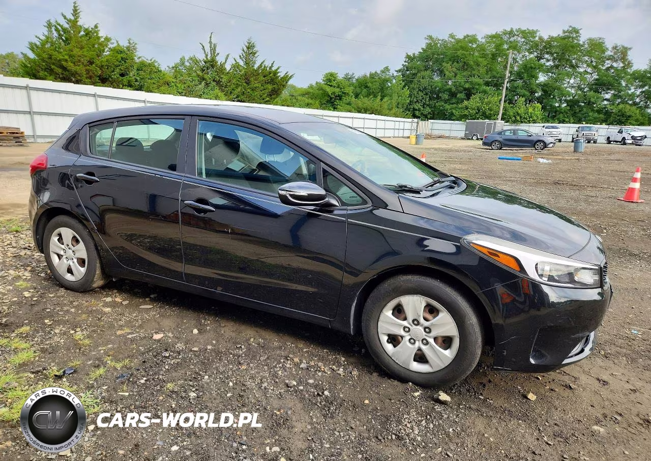 2017 Kia Forte5 Lx VIN:KNAFK5A87H5696874 - 4
