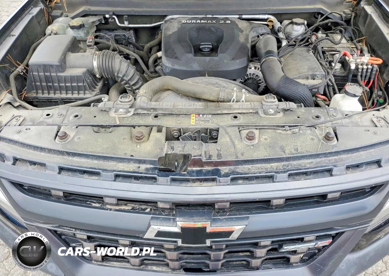 2019 Chevrolet Colorado Zr2 VIN:1GCPTEE11K1317528 - 11