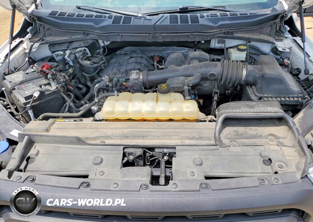 2021 Ford F150 VIN:1FTMF1CB6MKE25784 - 11