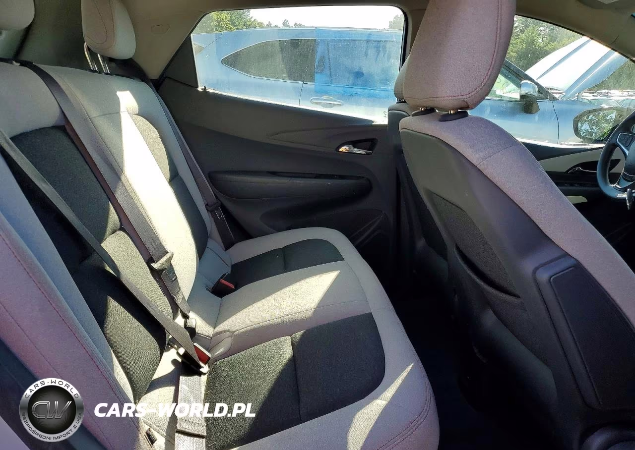 2017 Chevrolet Bolt Ev Lt VIN:1G1FW6S03H4149637 - 10