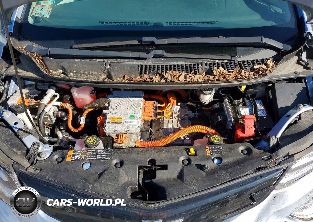 2017 Chevrolet Bolt Ev Lt VIN:1G1FW6S03H4149637 - 11