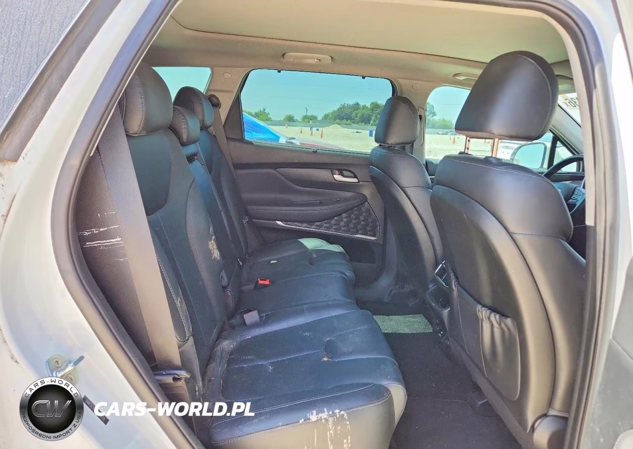 2019 Hyundai Santa Fe Ultimate 2.0T VIN:5NMS5CAA2KH059721 - 10