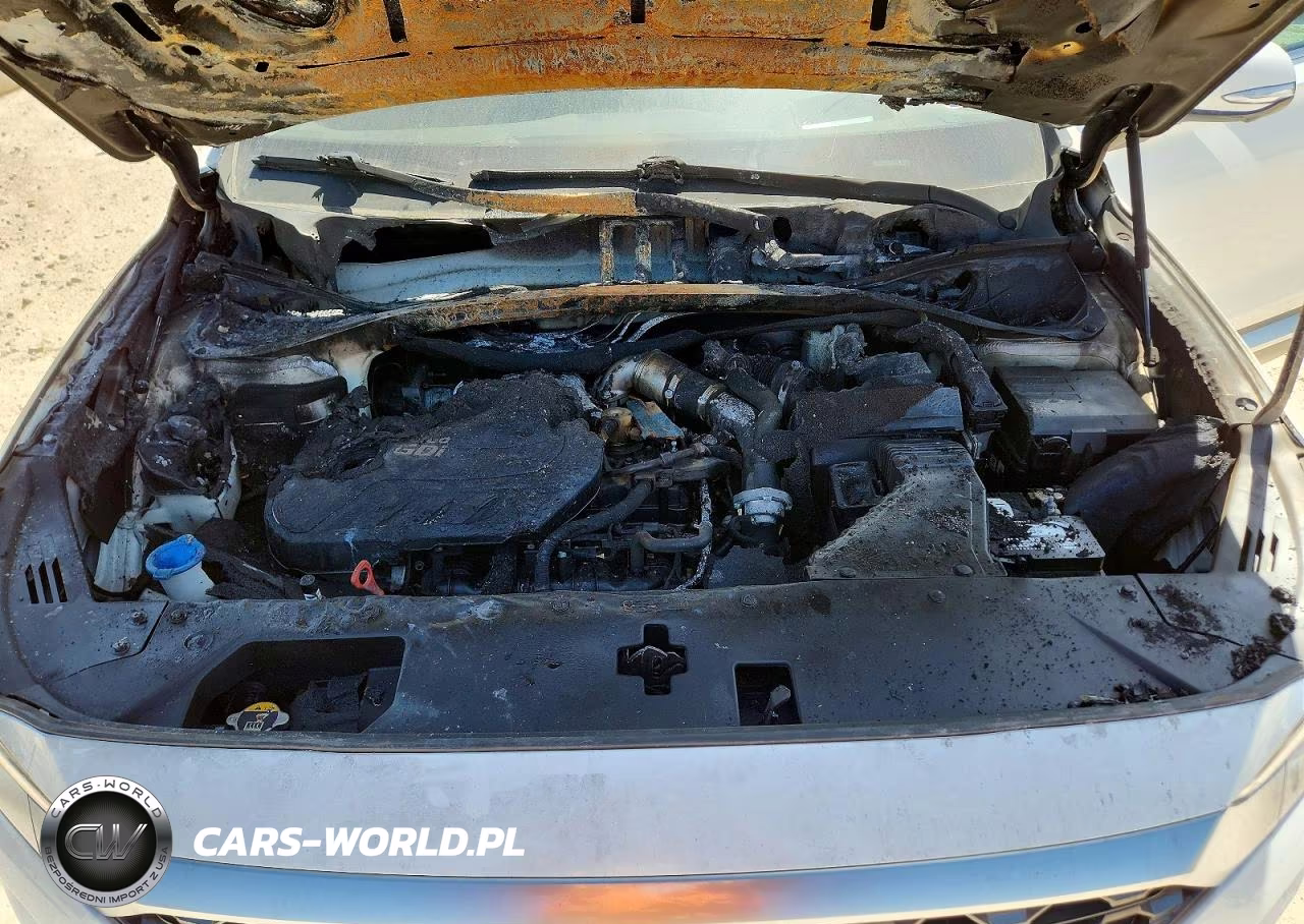 2019 Hyundai Santa Fe Ultimate 2.0T VIN:5NMS5CAA2KH059721 - 11