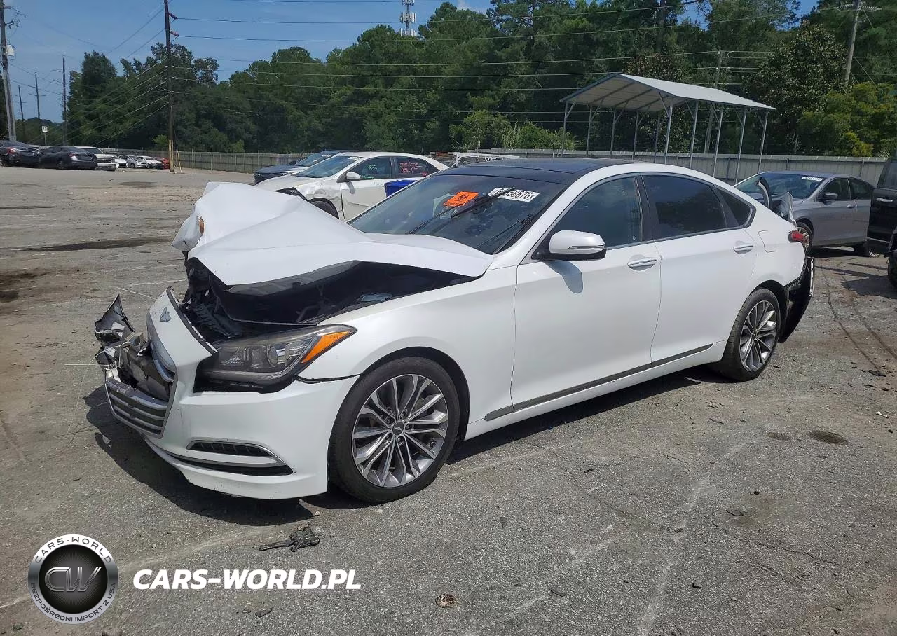2015 Hyundai Genesis 3.8L VIN:KMHGN4JE6FU059309 - 1
