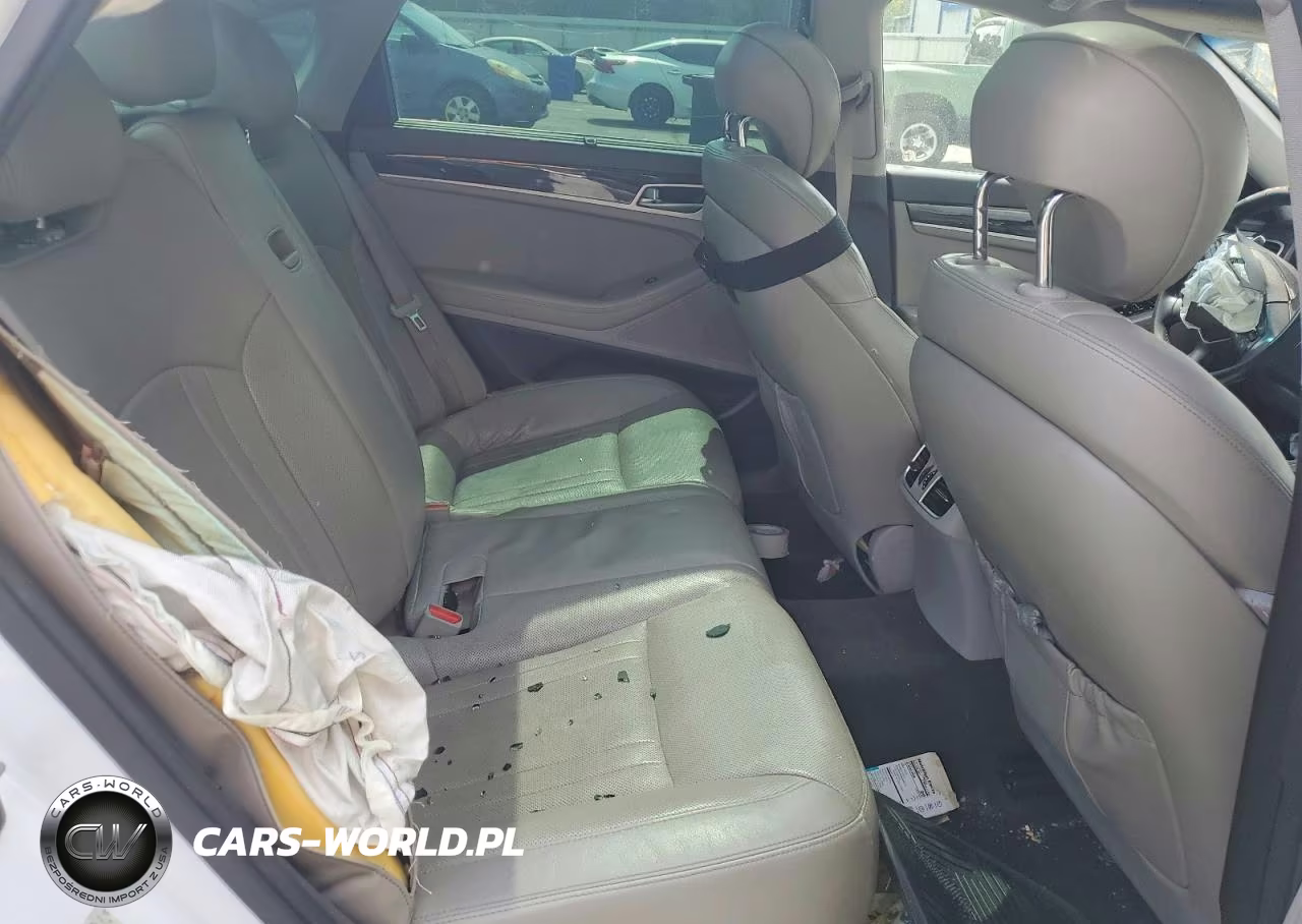 2015 Hyundai Genesis 3.8L VIN:KMHGN4JE6FU059309 - 10