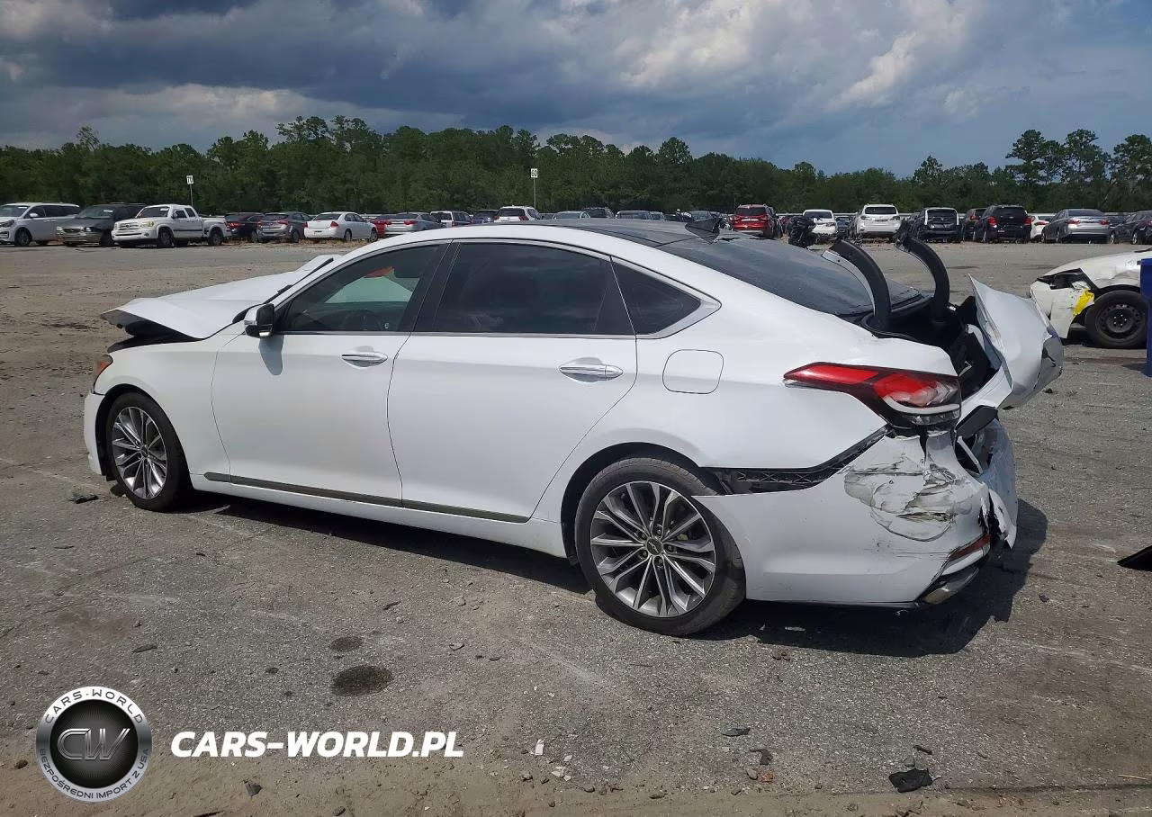 2015 Hyundai Genesis 3.8L VIN:KMHGN4JE6FU059309 - 2