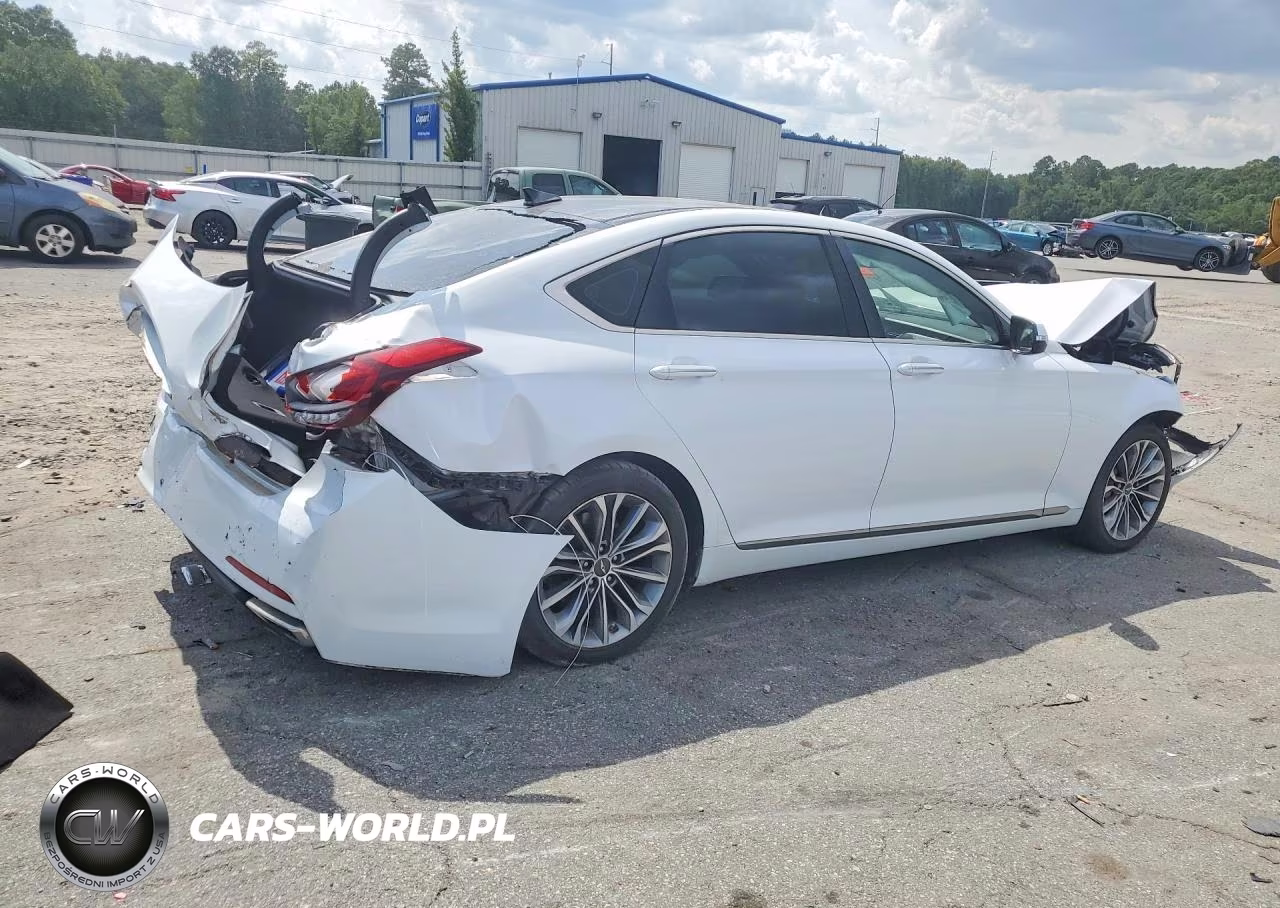 2015 Hyundai Genesis 3.8L VIN:KMHGN4JE6FU059309 - 3
