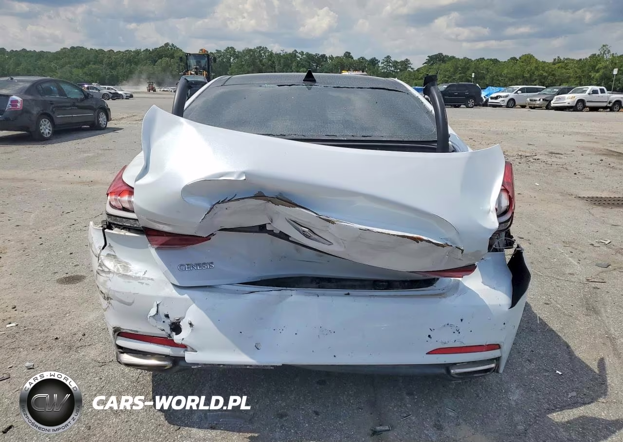 2015 Hyundai Genesis 3.8L VIN:KMHGN4JE6FU059309 - 6