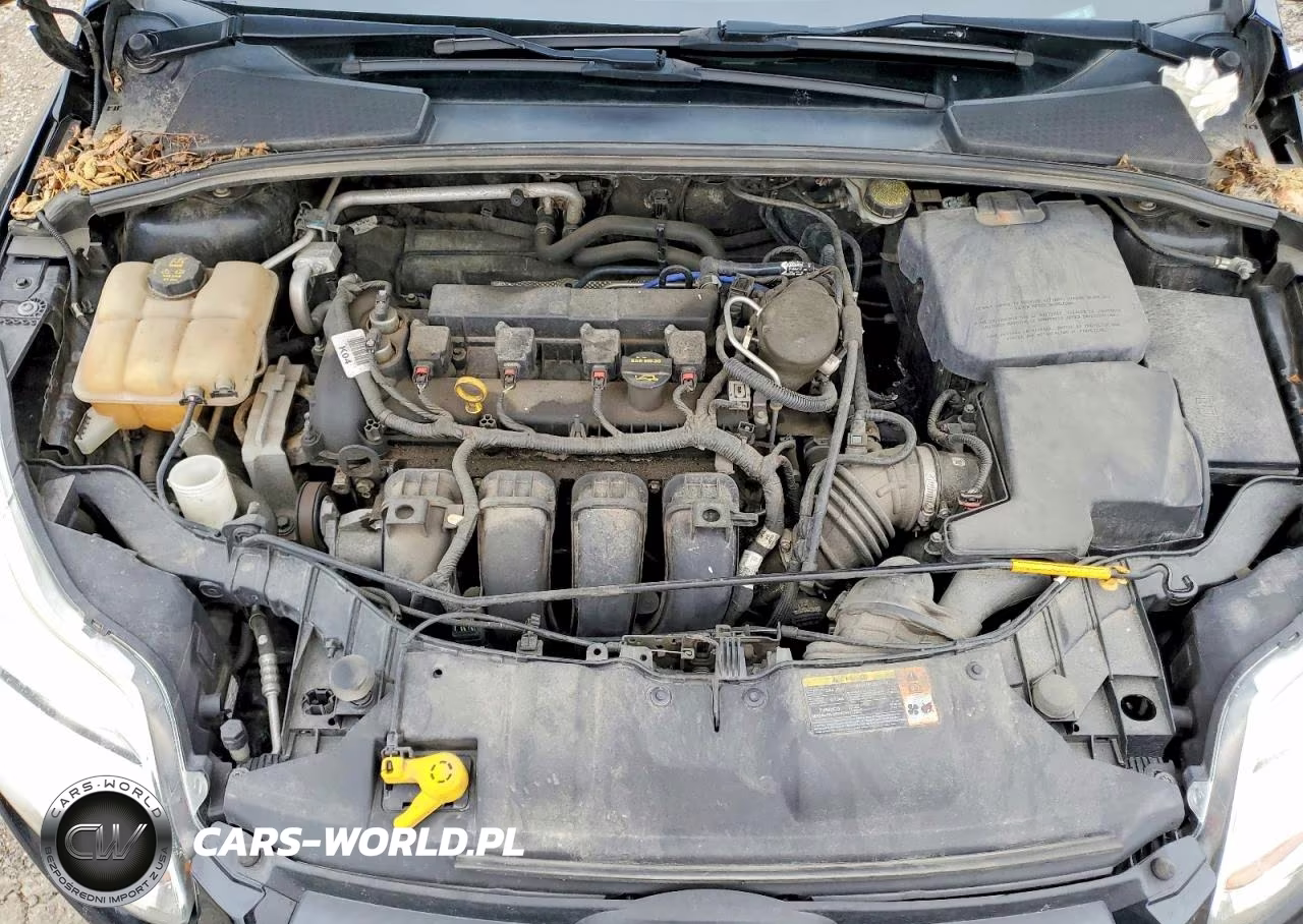 2014 Ford Focus Se VIN:1FADP3F24EL363985 - 11
