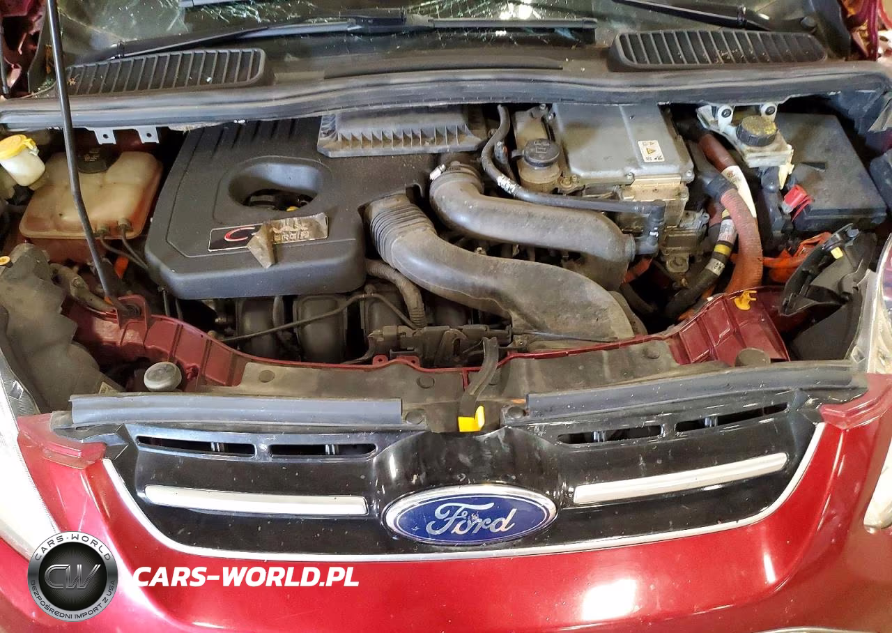 2016 Ford C-Max Premium Sel VIN:1FADP5CUXGL111663 - 11