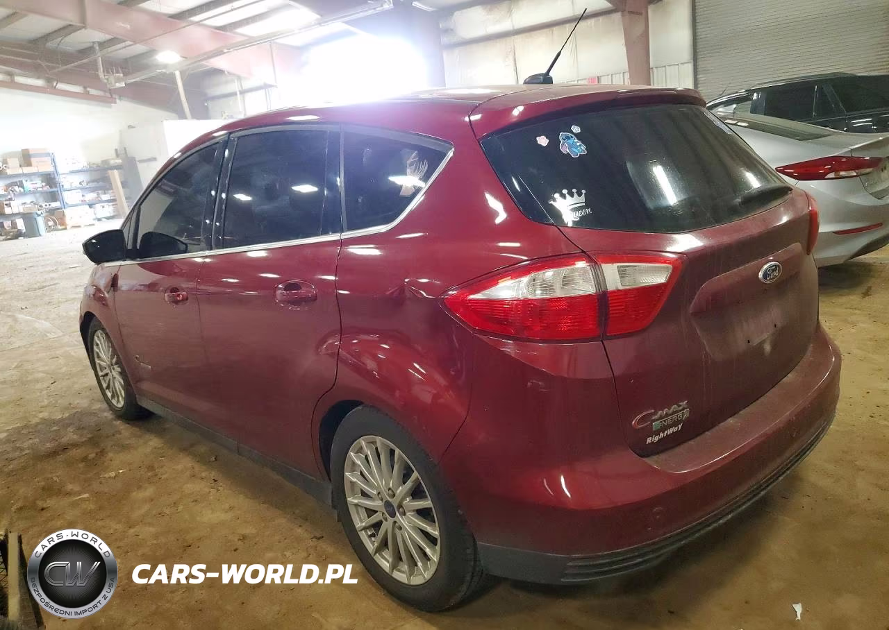 2016 Ford C-Max Premium Sel VIN:1FADP5CUXGL111663 - 2