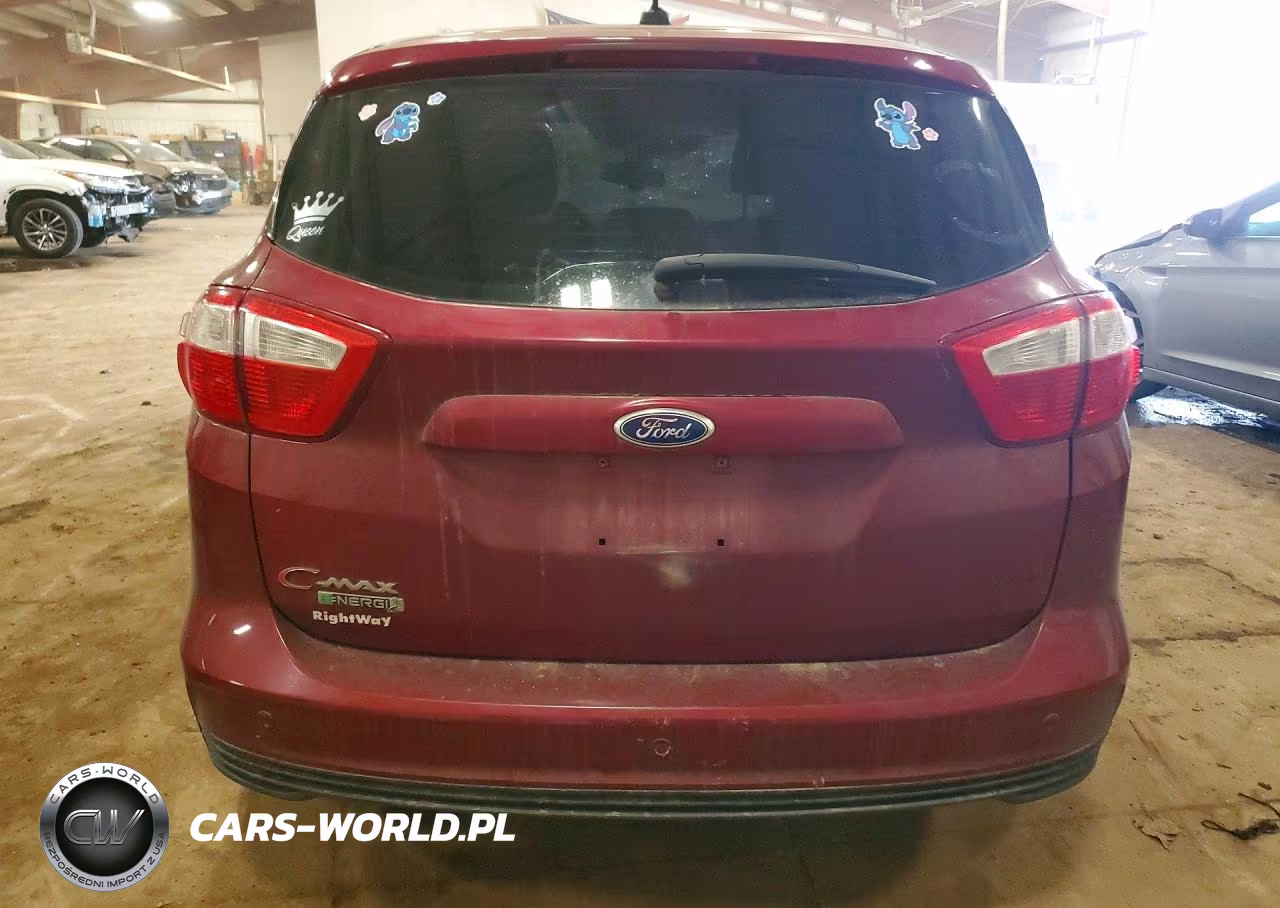 2016 Ford C-Max Premium Sel VIN:1FADP5CUXGL111663 - 6