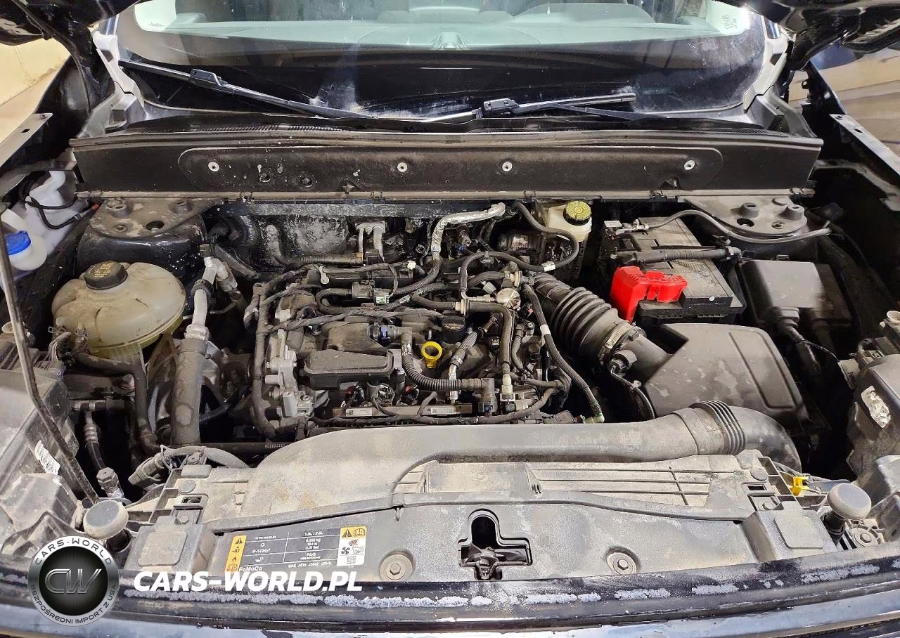 2023 Ford Bronco Sport Outer Banks VIN:3FMCR9C63PRD26372 - 12