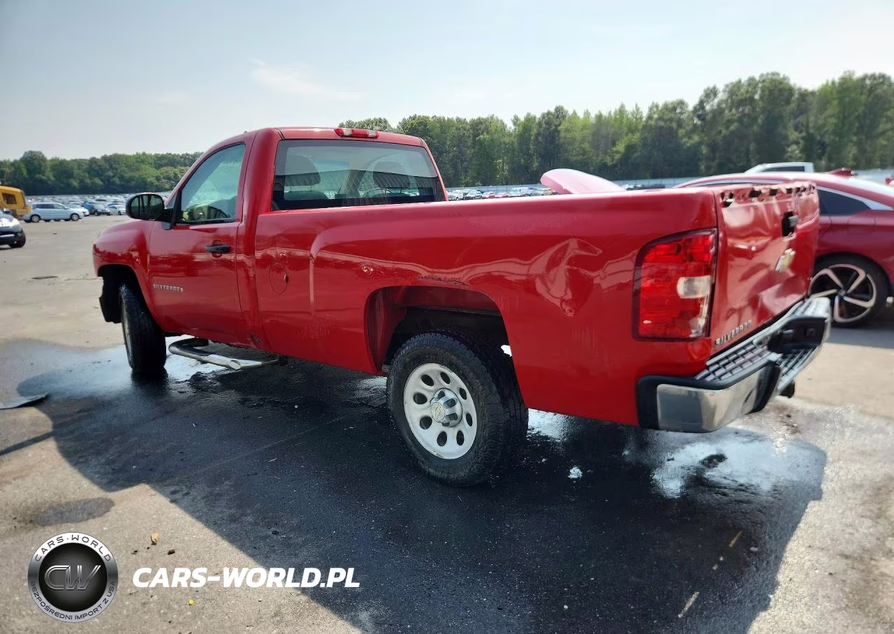 2009 Chevrolet Silverado C1500 VIN:1GCEC14X19Z252679 - 2