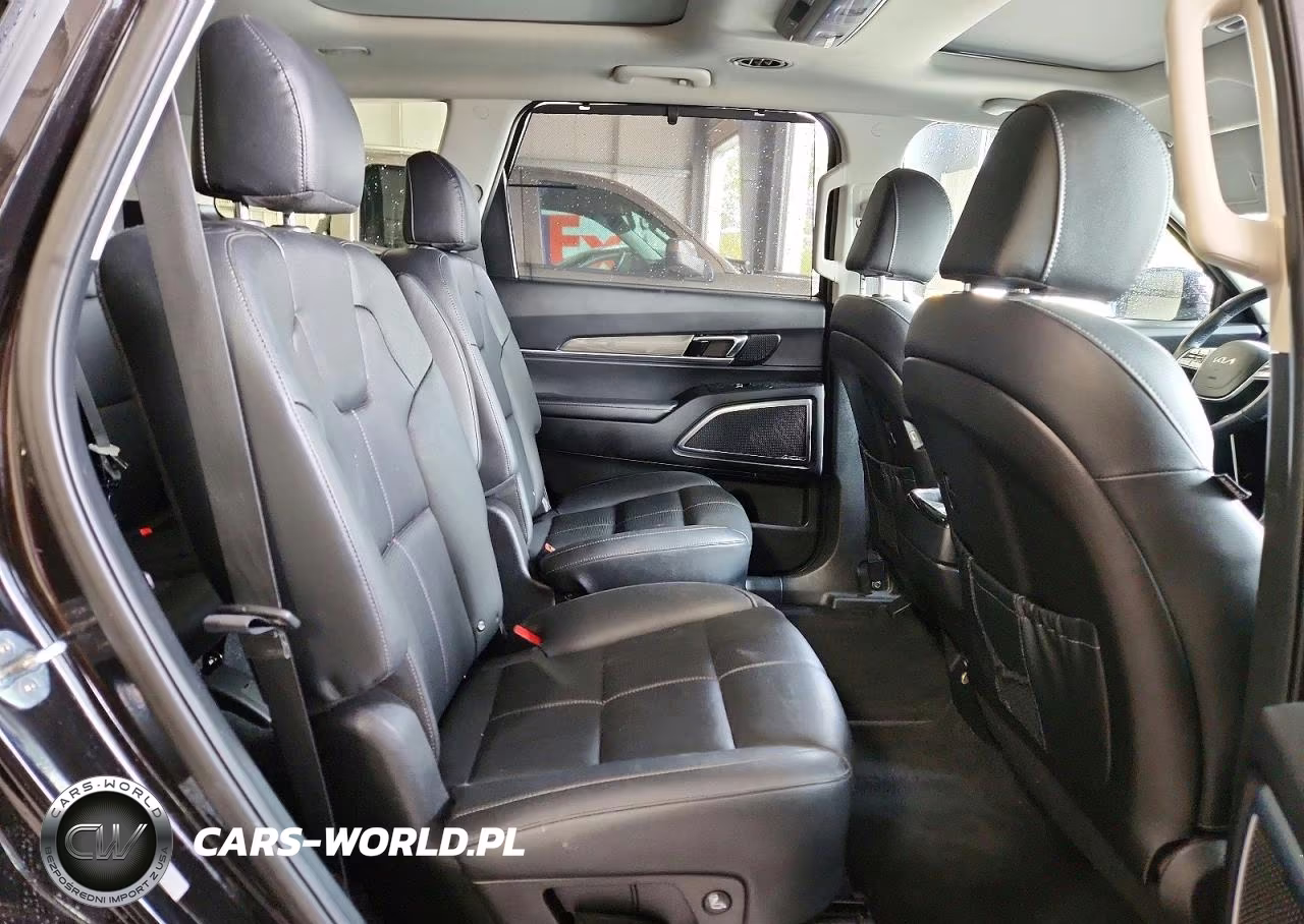 2022 Kia Telluride Sx VIN:5XYP5DHC2NG282813 - 11