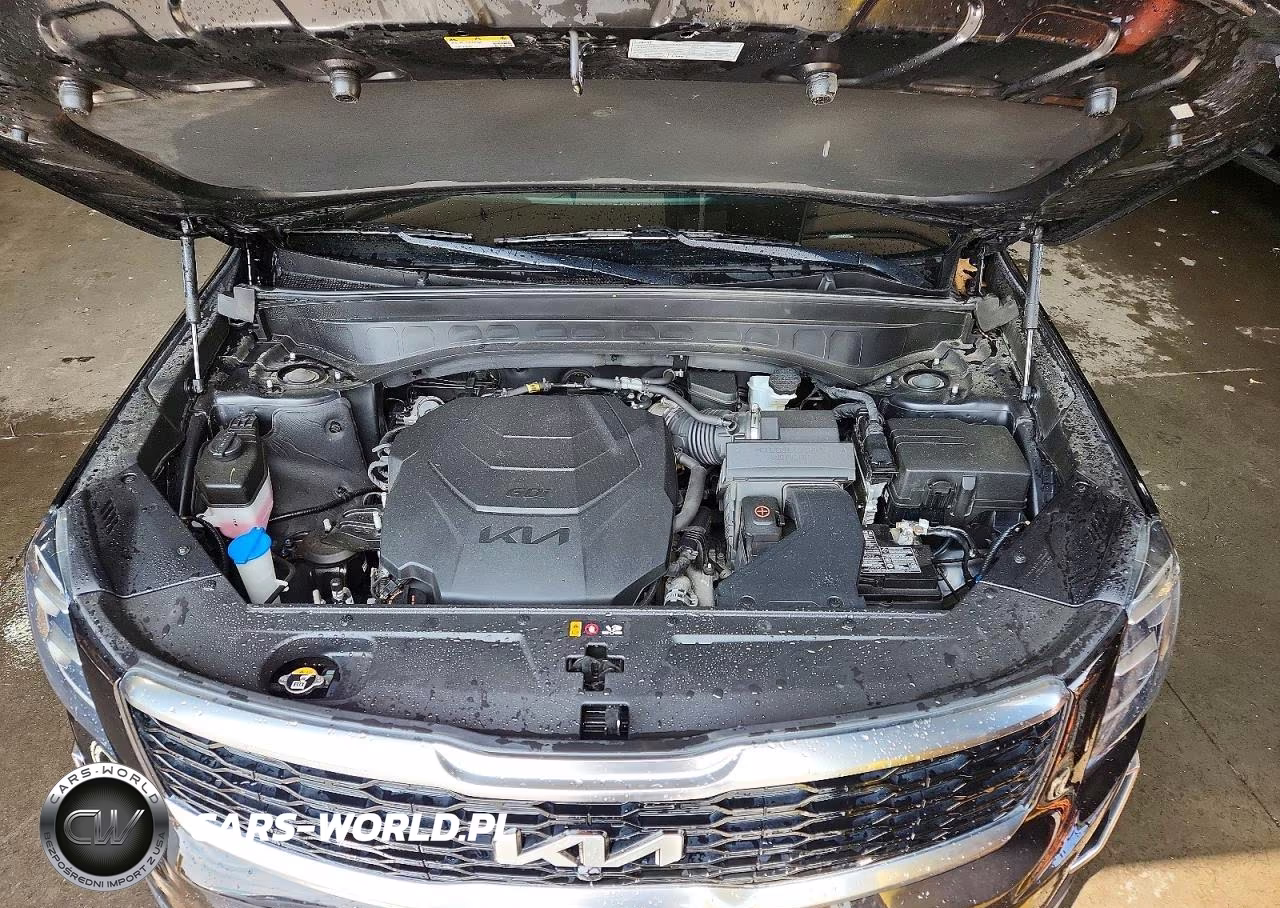 2022 Kia Telluride Sx VIN:5XYP5DHC2NG282813 - 12