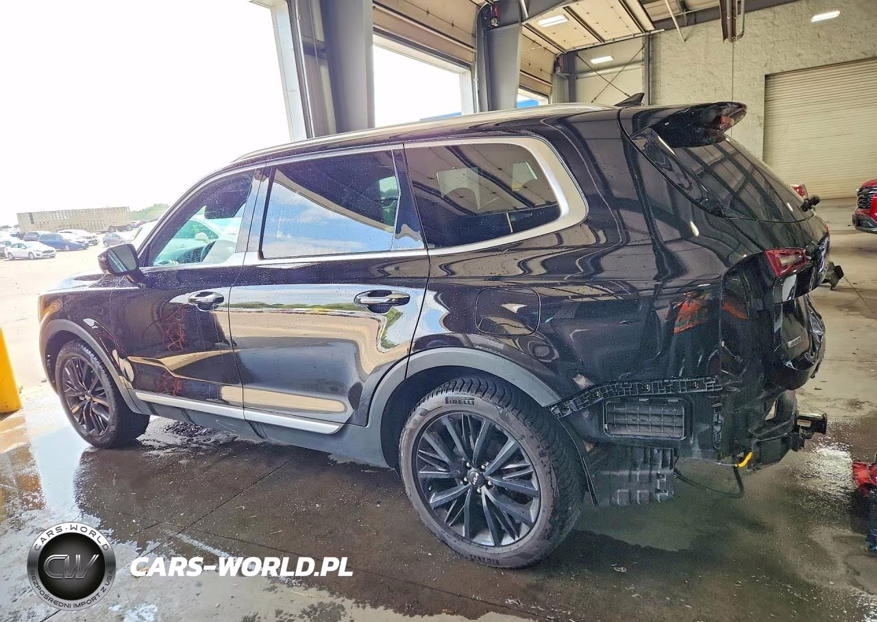 2022 Kia Telluride Sx VIN:5XYP5DHC2NG282813 - 2