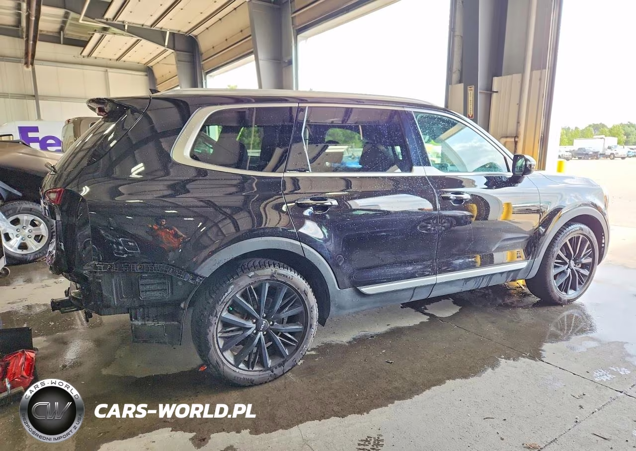 2022 Kia Telluride Sx VIN:5XYP5DHC2NG282813 - 3