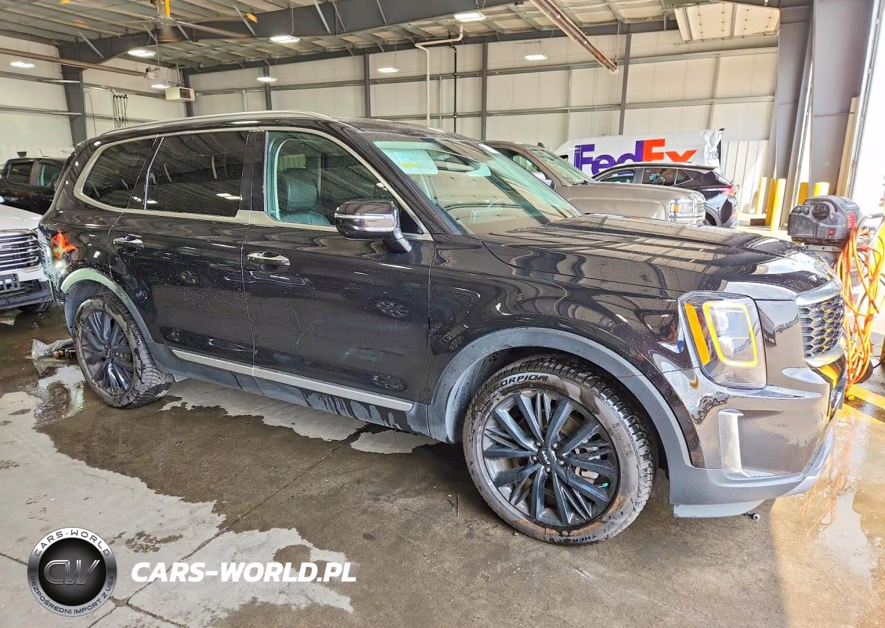 2022 Kia Telluride Sx VIN:5XYP5DHC2NG282813 - 4
