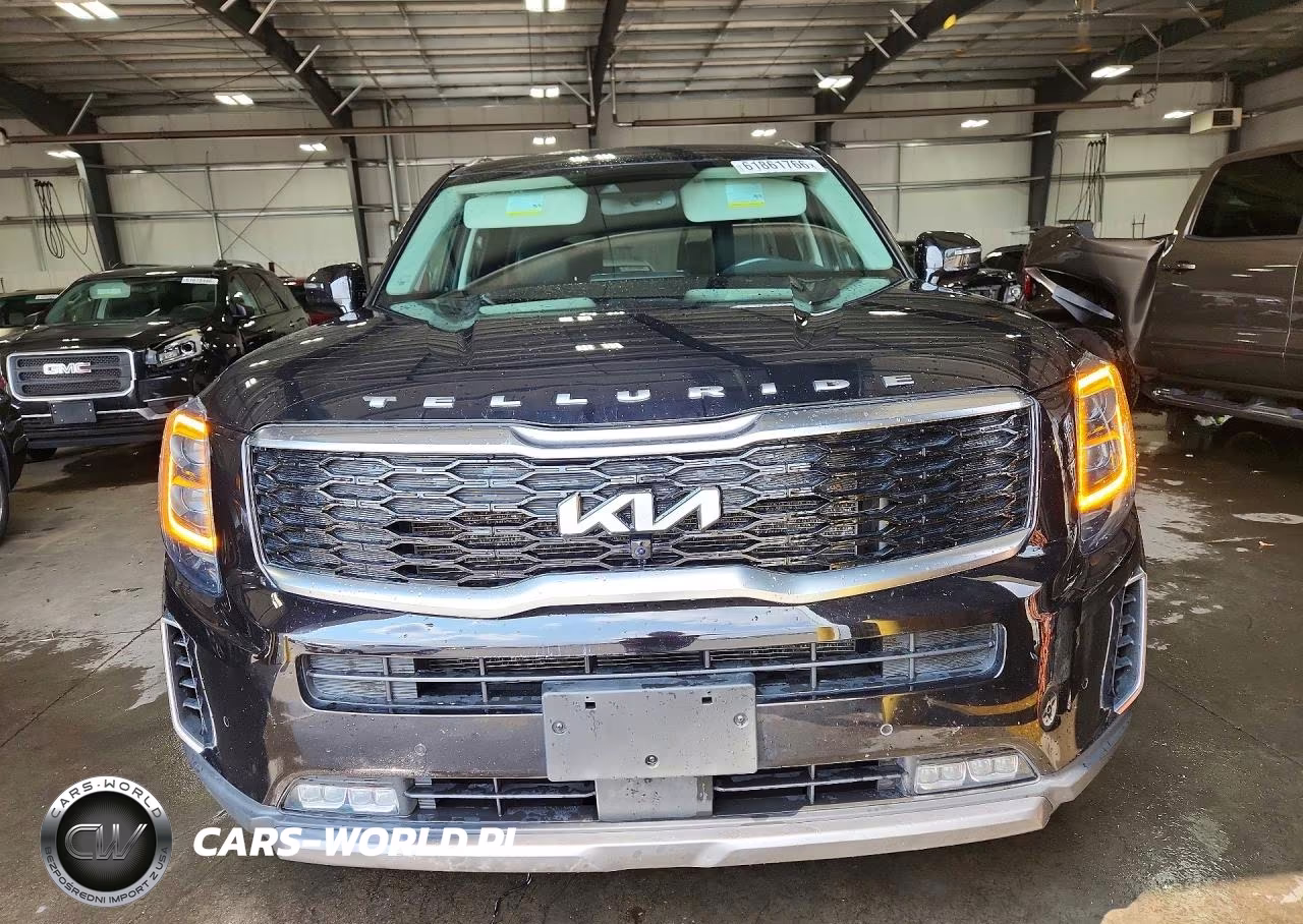 2022 Kia Telluride Sx VIN:5XYP5DHC2NG282813 - 5