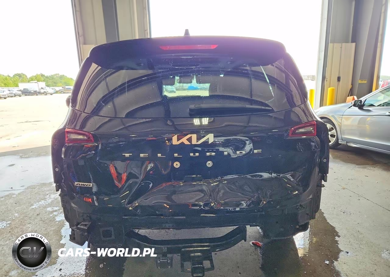 2022 Kia Telluride Sx VIN:5XYP5DHC2NG282813 - 6
