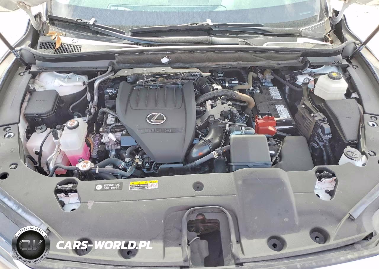 2023 Lexus Rx 350 Premium VIN:2T2BAMBA5PC005337 - 12
