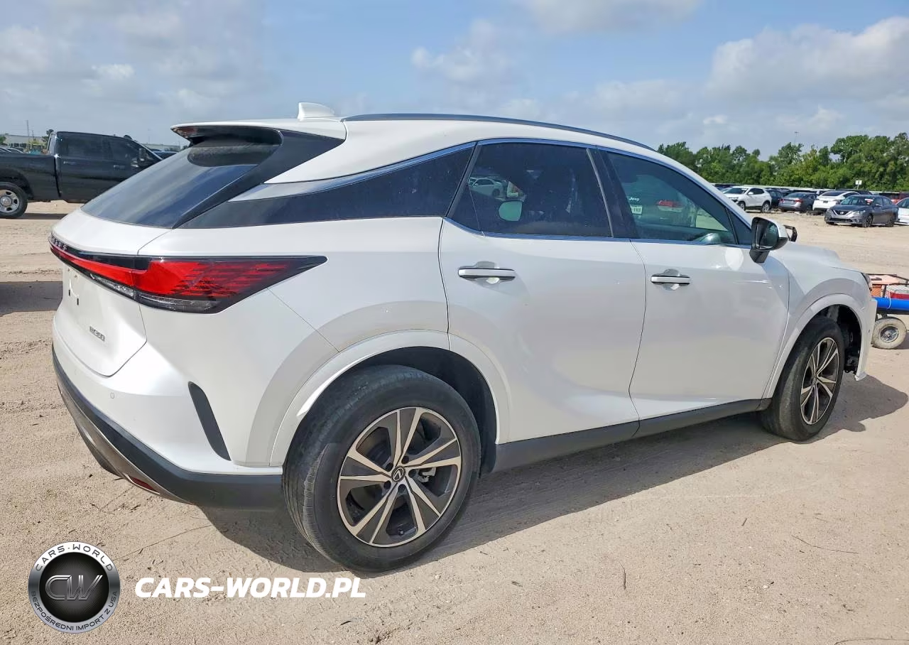 2023 Lexus Rx 350 Premium VIN:2T2BAMBA5PC005337 - 3