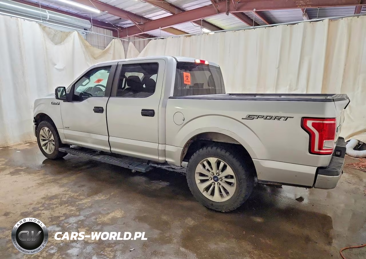 2016 Ford F150 Supercrew VIN:1FTEW1CP0GKE81398 - 2