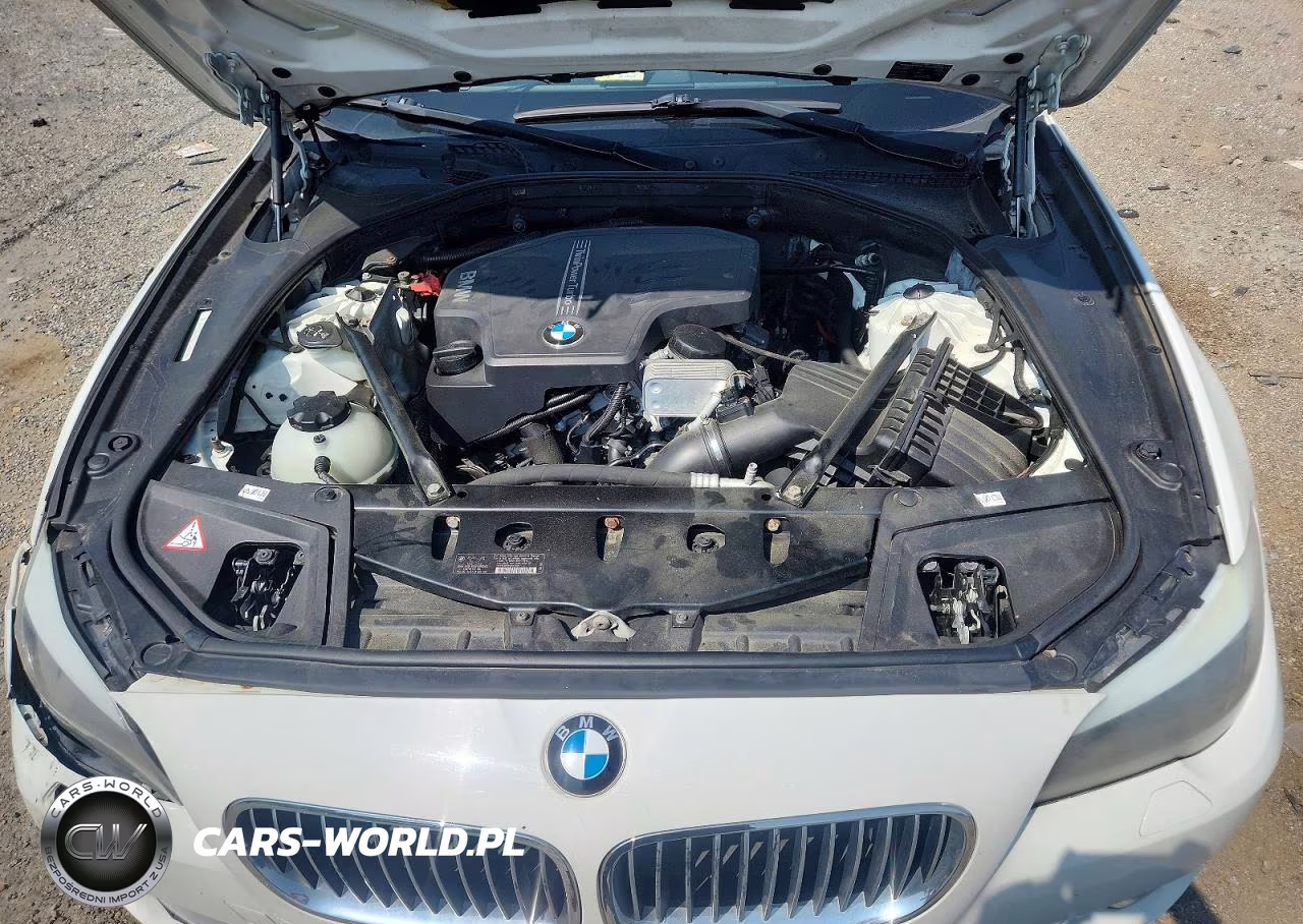 2013 BMW 528 Xi VIN:WBAXH5C53DD109897 - 11