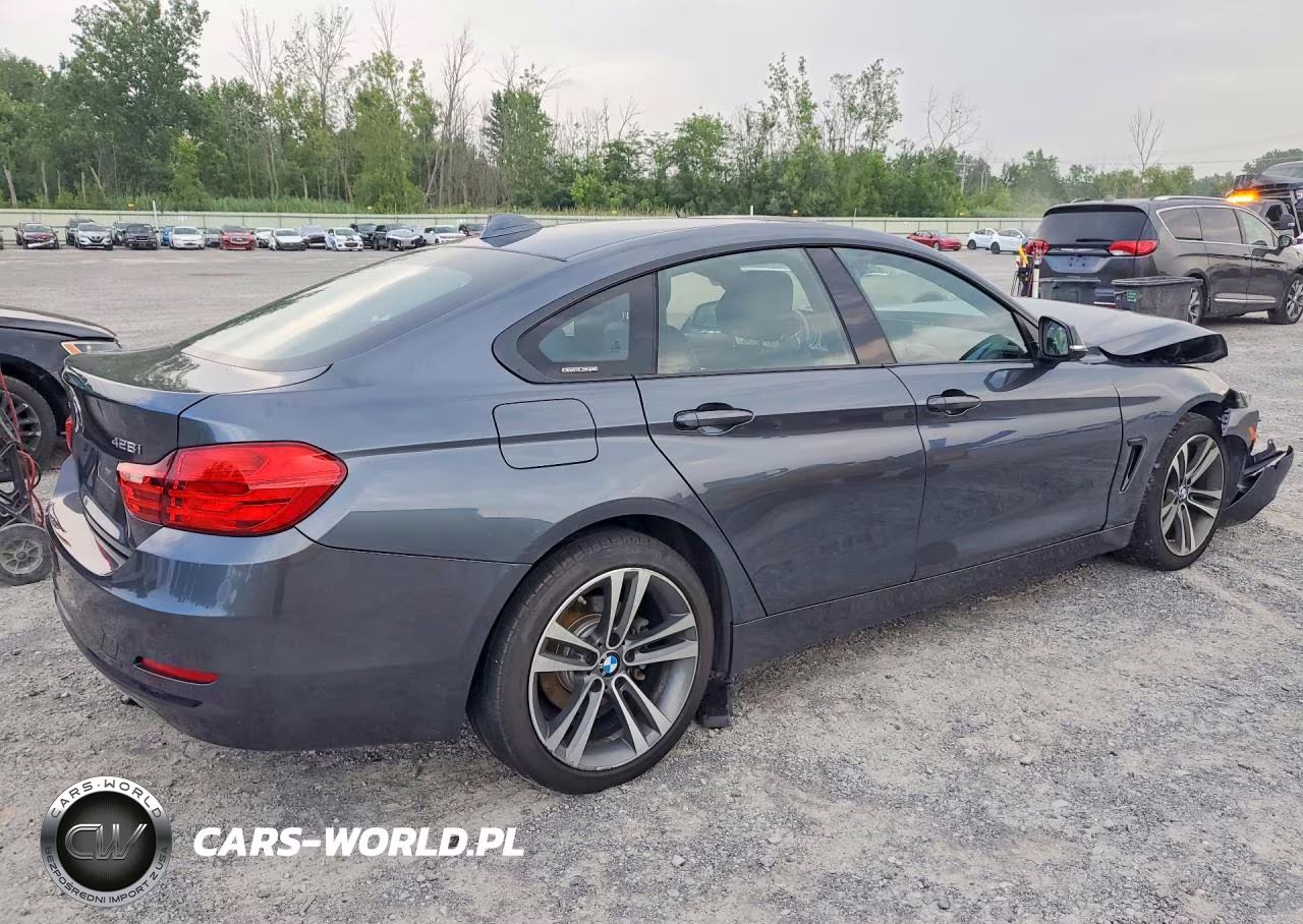 2015 BMW 428 Xi Gran Coupe Sulev VIN:WBA4C9C59FD330478 - 3