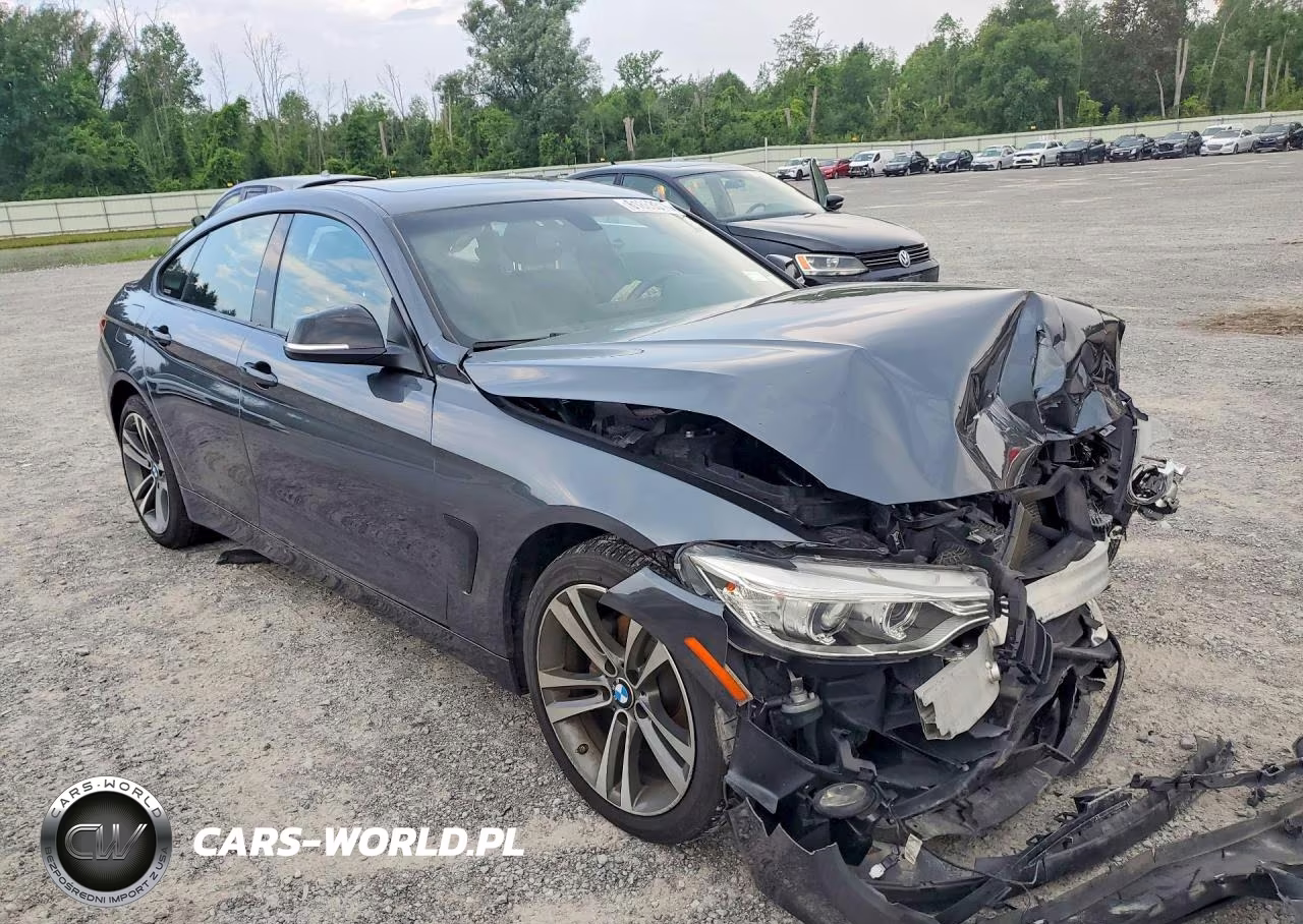 2015 BMW 428 Xi Gran Coupe Sulev VIN:WBA4C9C59FD330478 - 4