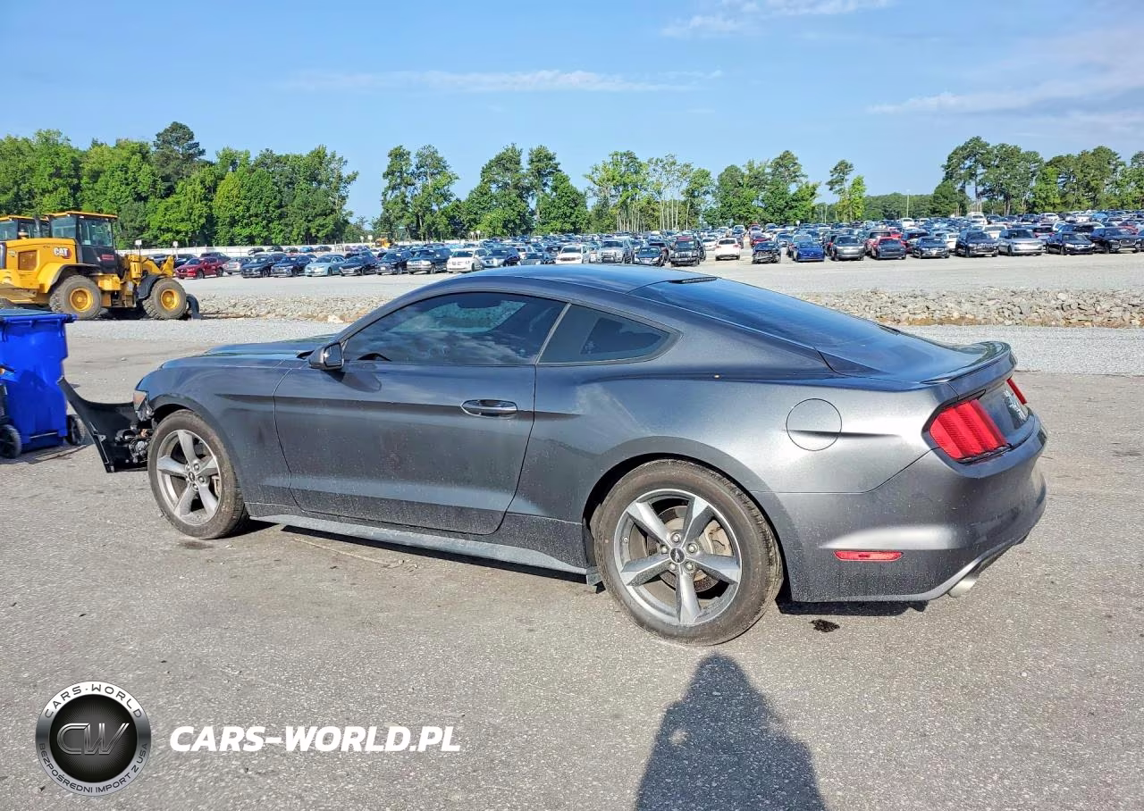 2016 Ford Mustang VIN:1FA6P8AM8G5292344 - 2