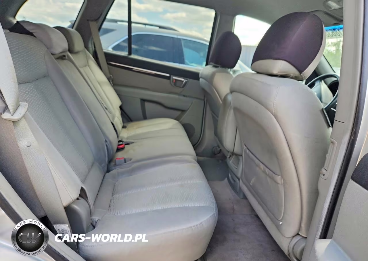 2007 Hyundai Santa Fe Gls VIN:5NMSG13DX7H095783 - 10