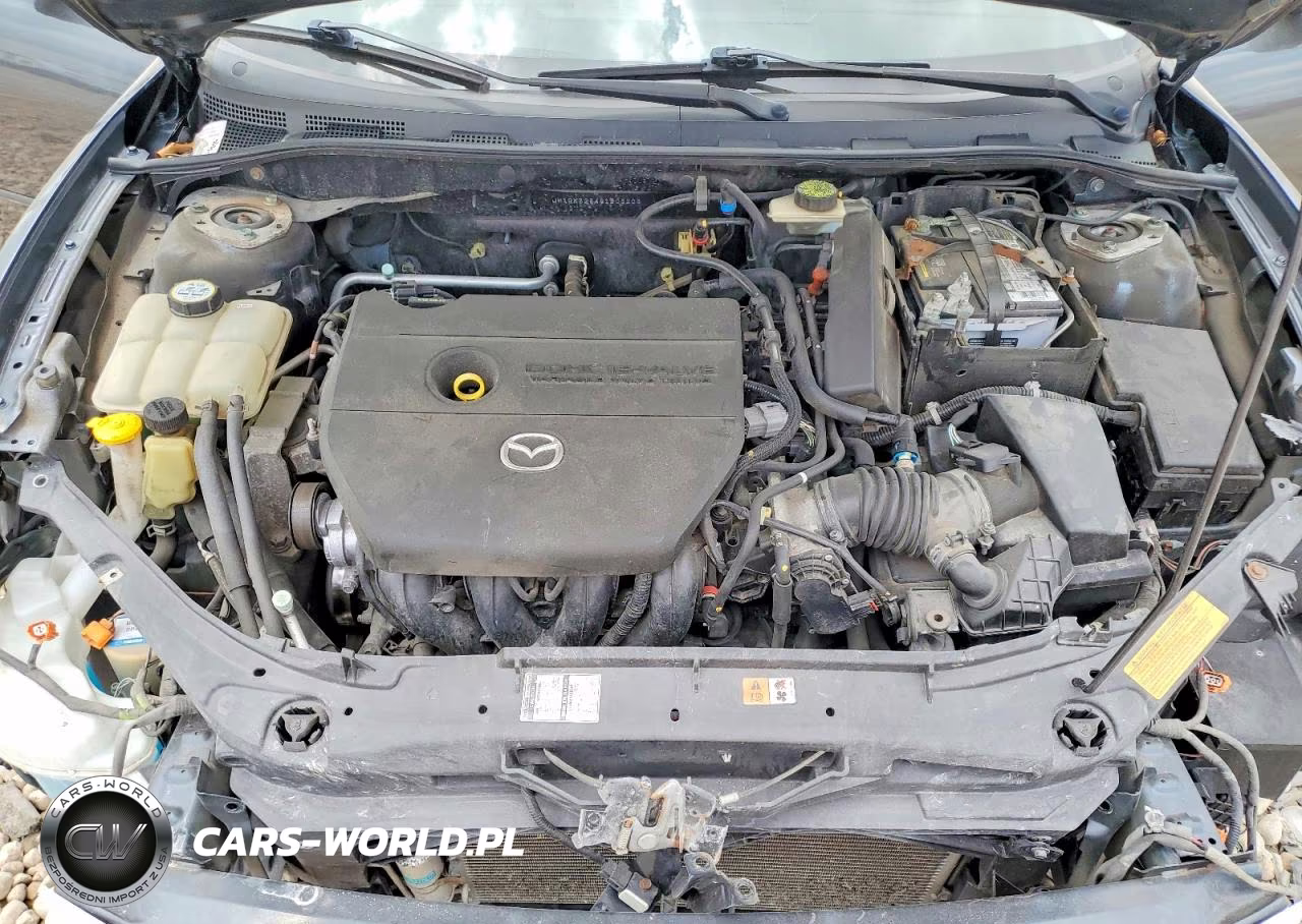 2009 Mazda 3 S VIN:JM1BK323491203203 - 11