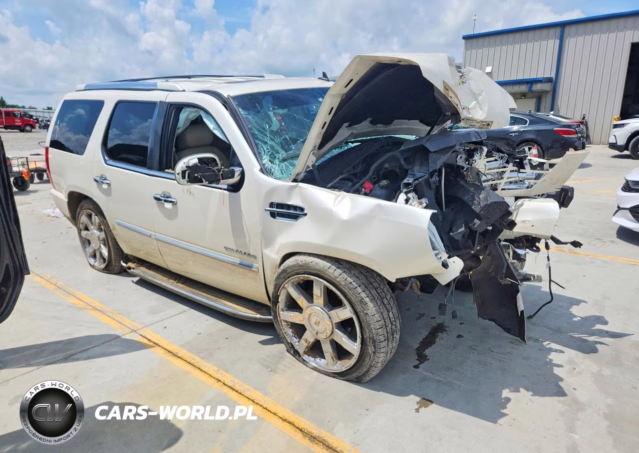 2011 Cadillac Escalade Luxury VIN:1GYS4BEF7BR126709 - 4