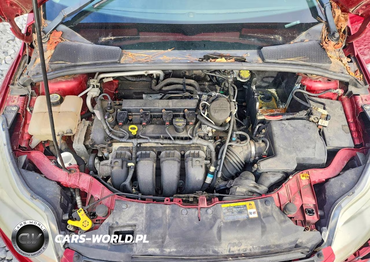 2013 Ford Focus Se VIN:1FADP3F27DL176397 - 11