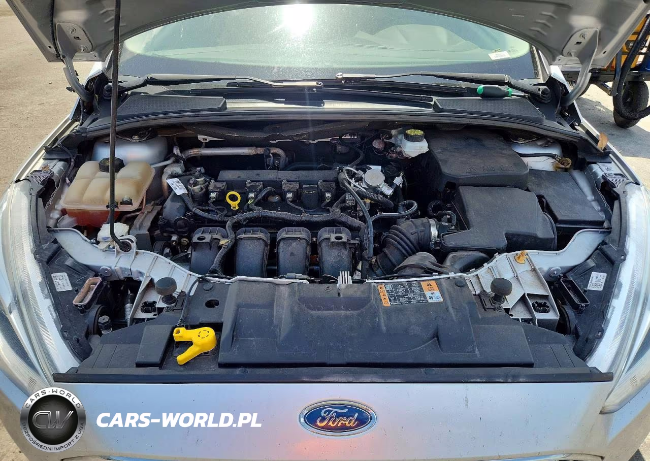 2018 Ford Focus Titanium VIN:1FADP3N22JL285007 - 11