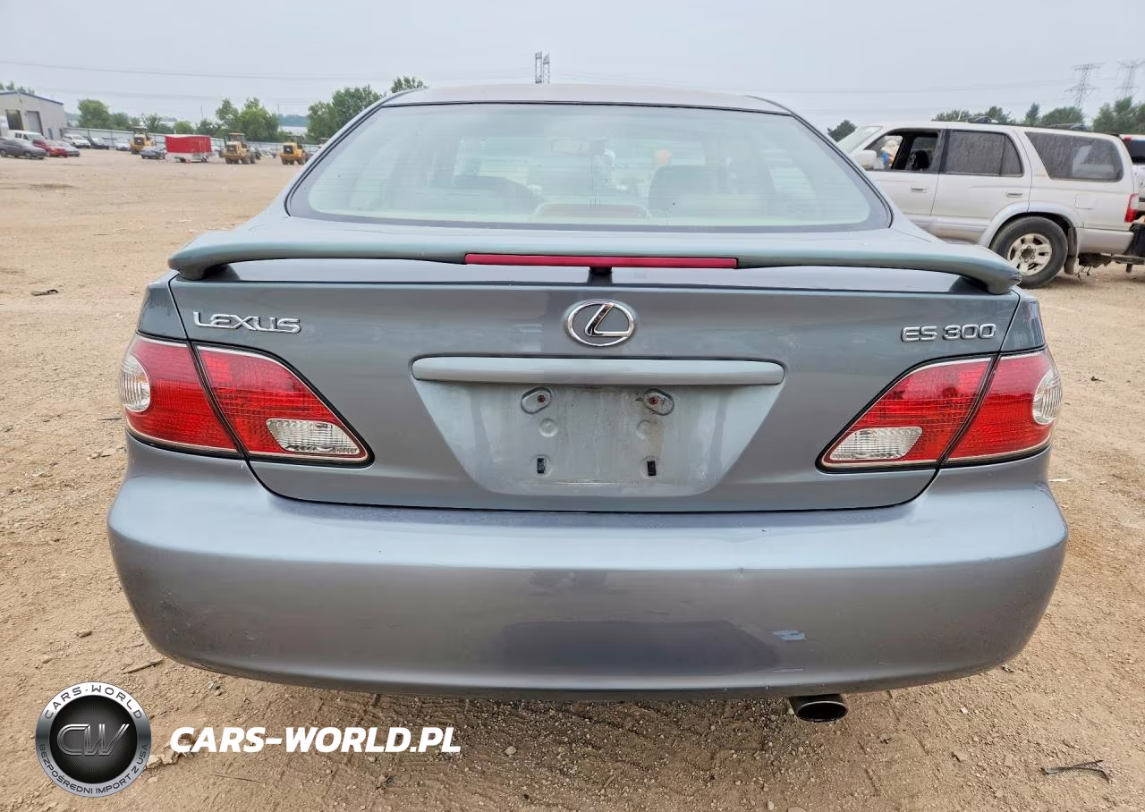 2003 Lexus Es 300 VIN:JTHBF30G630145987 - 6