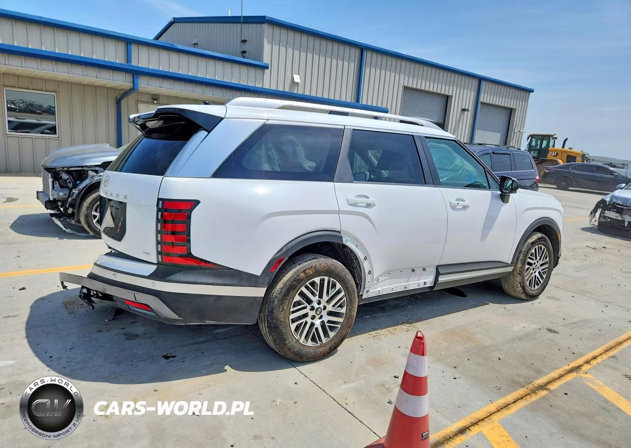 2026 Hyundai Palisade Sel VIN:KM8RLES21TU060601 - 3