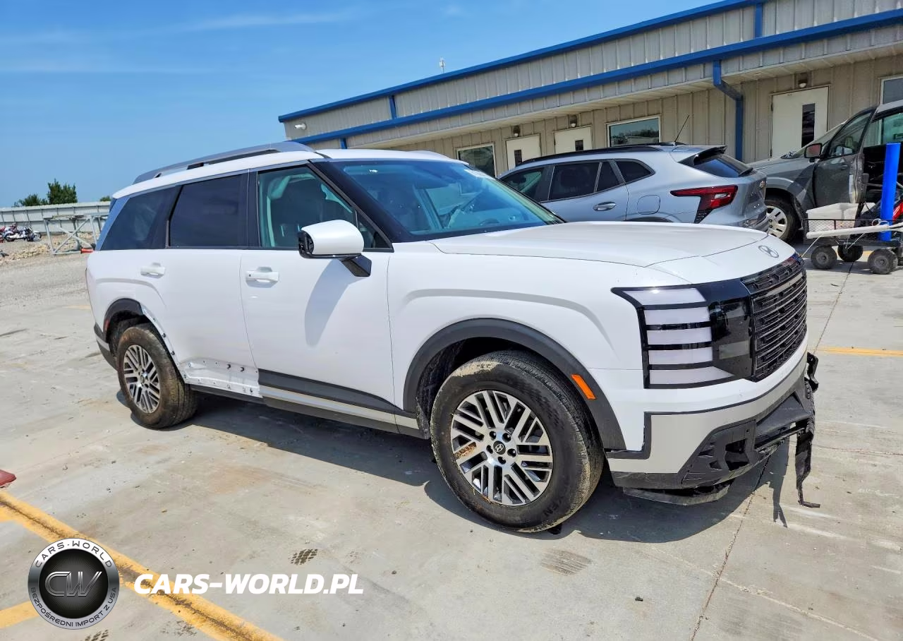 2026 Hyundai Palisade Sel VIN:KM8RLES21TU060601 - 4