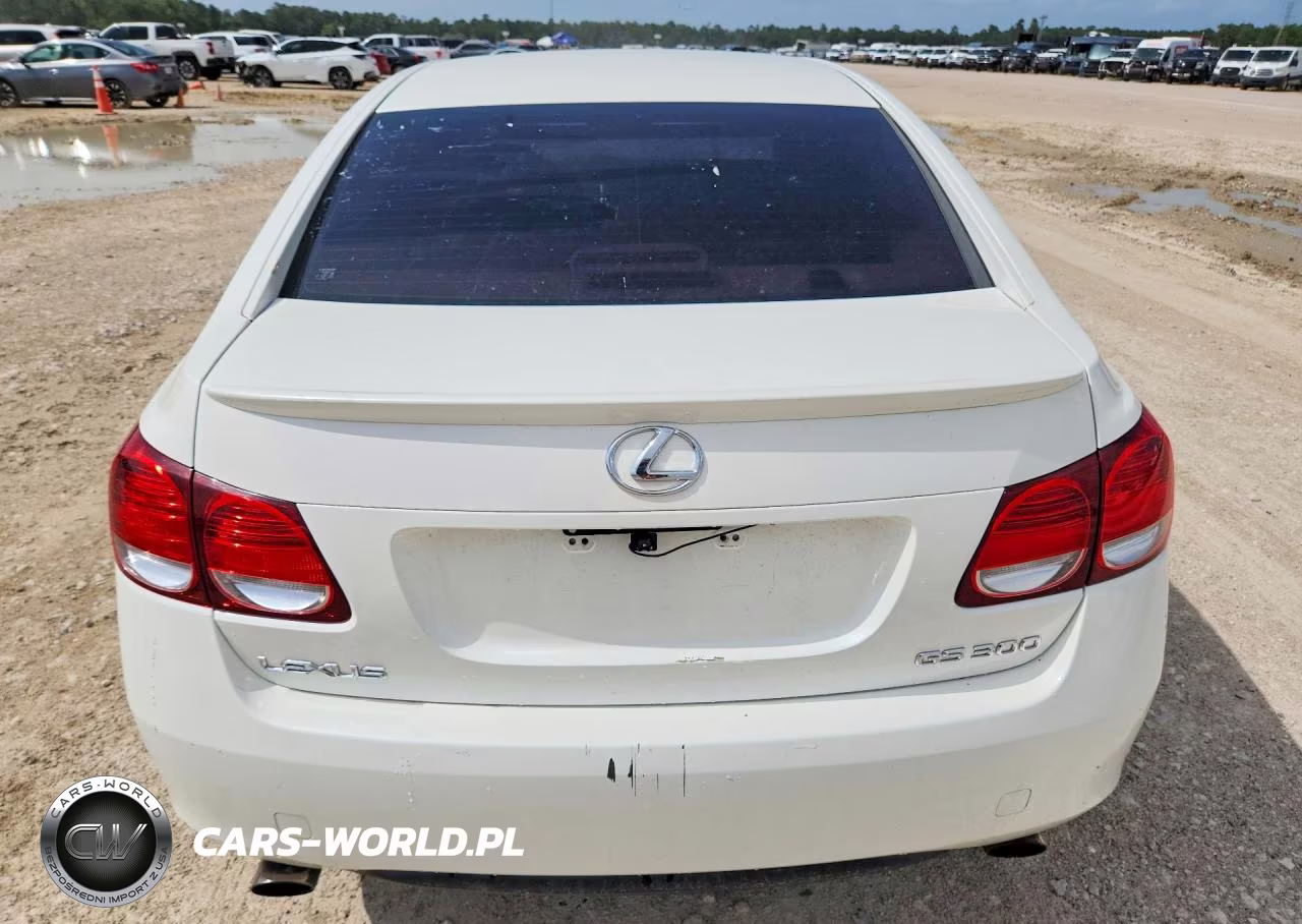 2006 Lexus Gs 300 VIN:JTHBH96S665034646 - 6