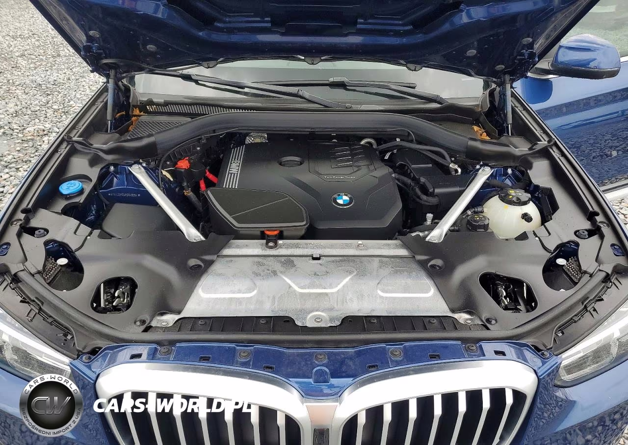 2023 BMW X3 Sdrive30I VIN:5UX43DP05P9R48064 - 11