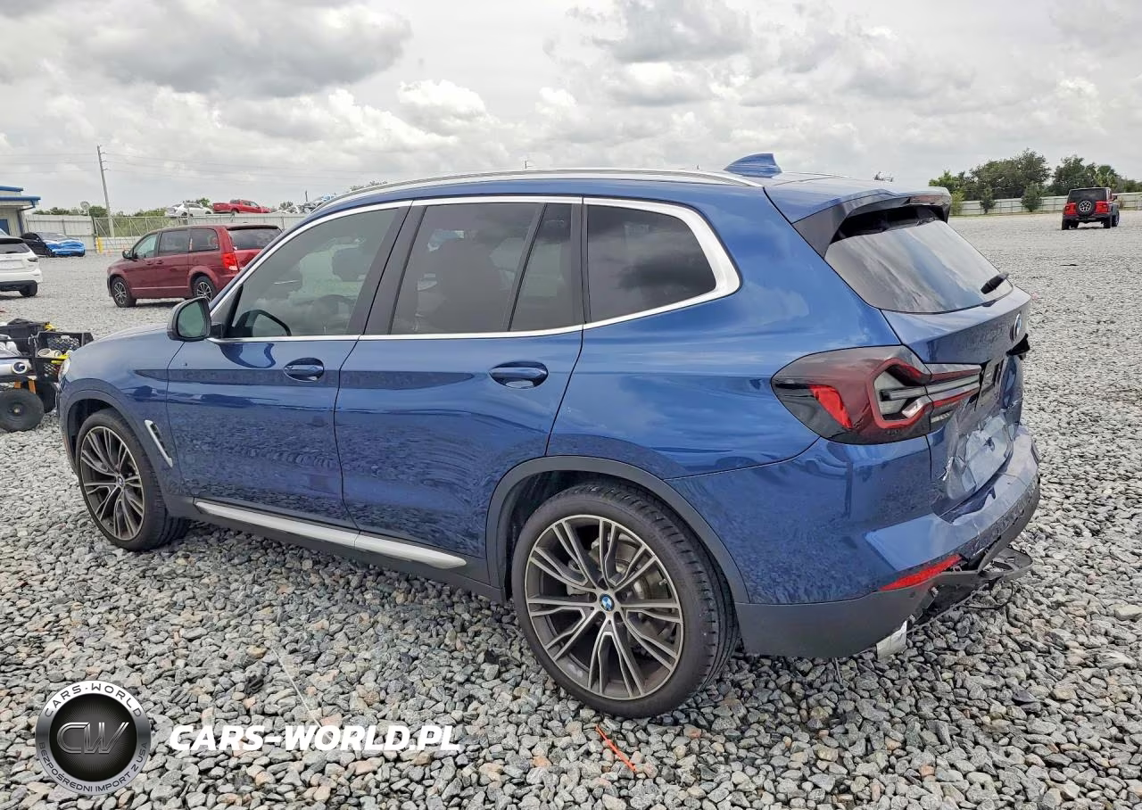 2023 BMW X3 Sdrive30I VIN:5UX43DP05P9R48064 - 2