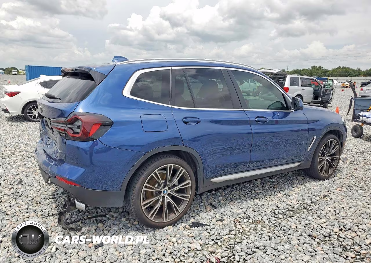 2023 BMW X3 Sdrive30I VIN:5UX43DP05P9R48064 - 3
