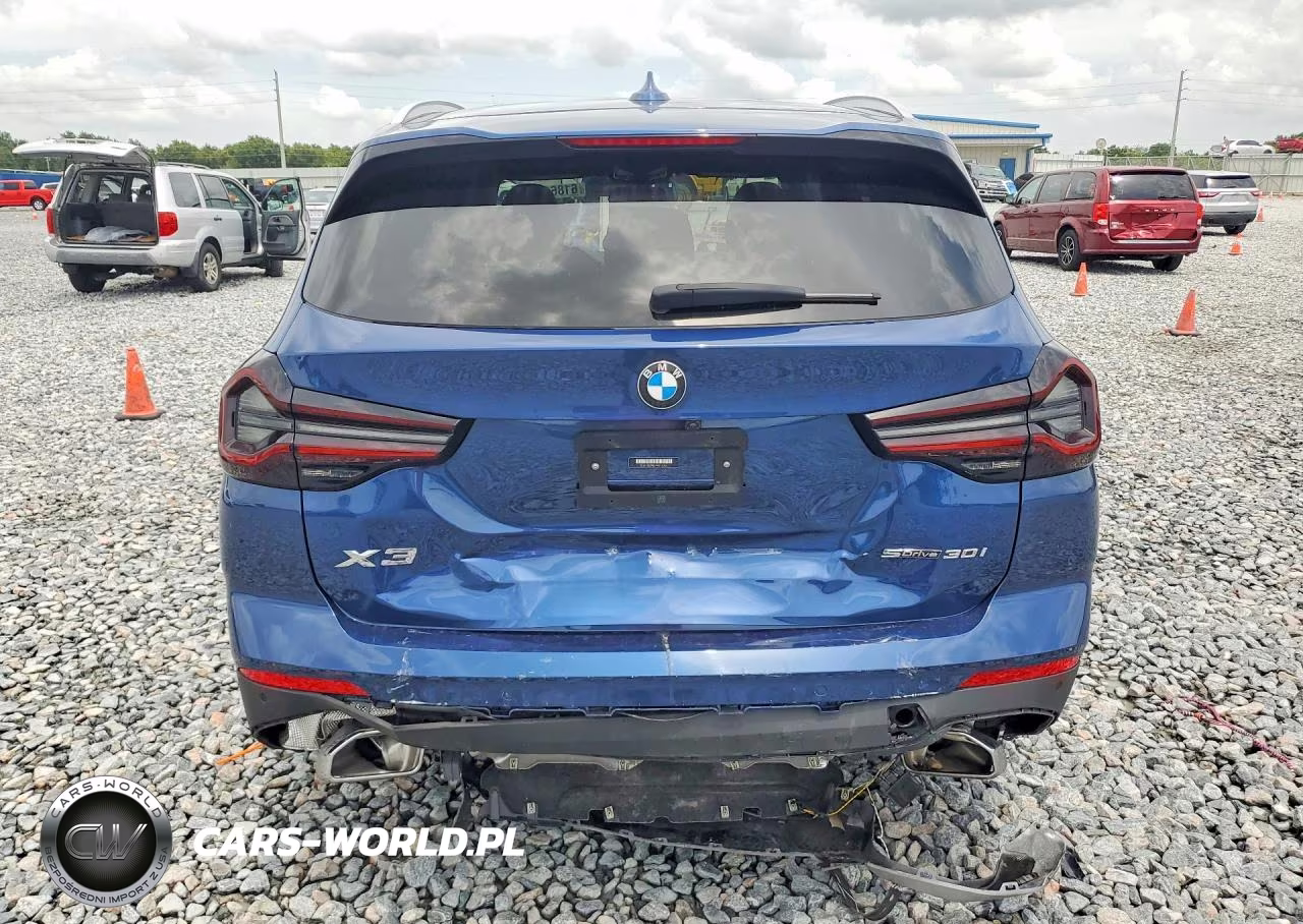 2023 BMW X3 Sdrive30I VIN:5UX43DP05P9R48064 - 6
