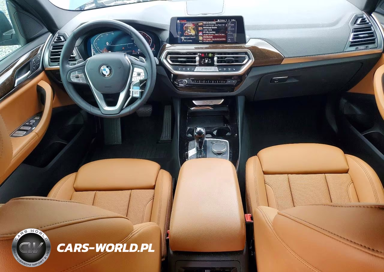 2023 BMW X3 Sdrive30I VIN:5UX43DP05P9R48064 - 8