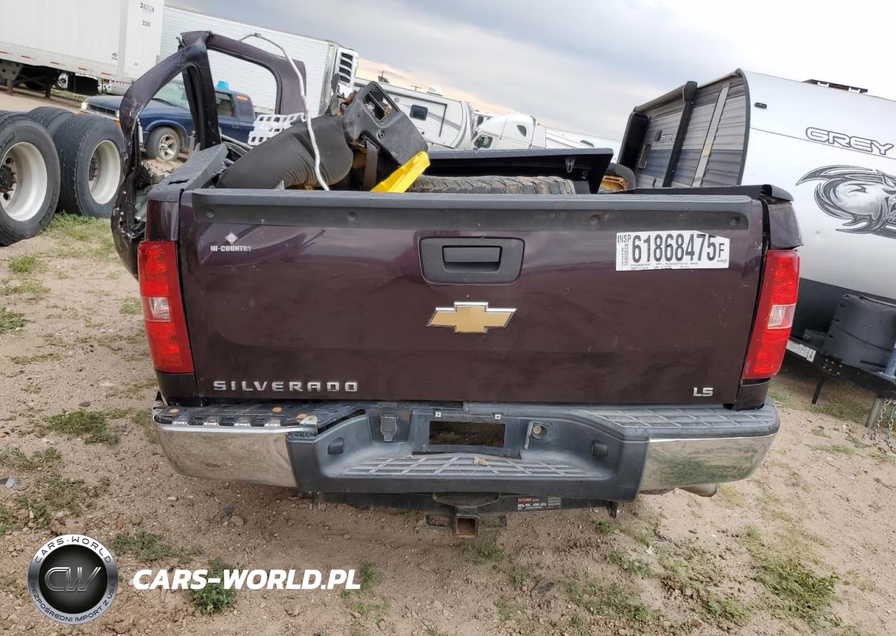 2009 Chevrolet Silverado K1500 VIN:1GCEK19C69Z172755 - 6