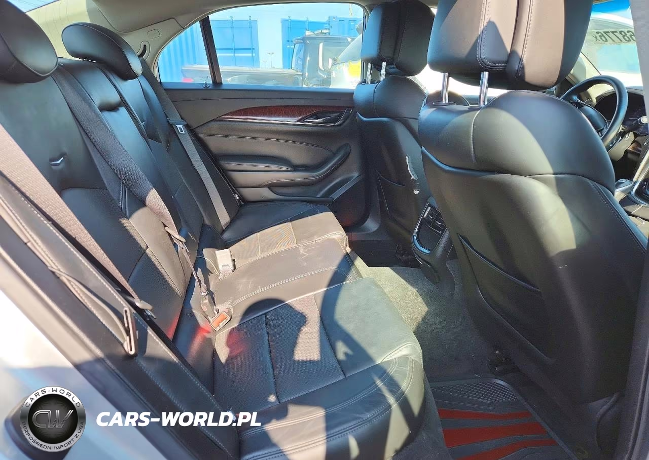 2014 Cadillac Cts Luxury Collection VIN:1G6AX5SX4E0196882 - 10
