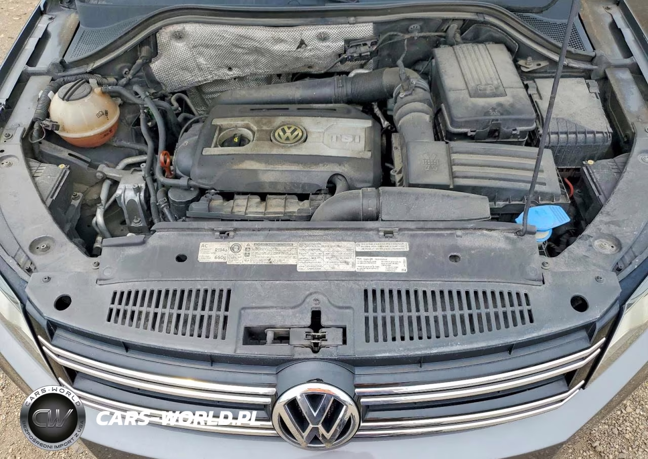 2012 Volkswagen Tiguan S VIN:WVGBV7AX5CW000443 - 12